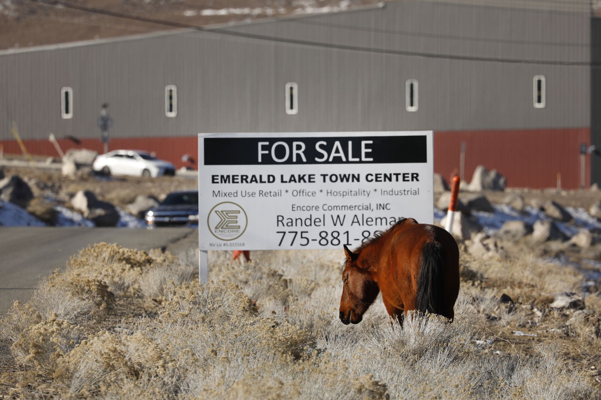 A horse grazes next to a sign reading "For Sale — Emerald Lake Town Center."