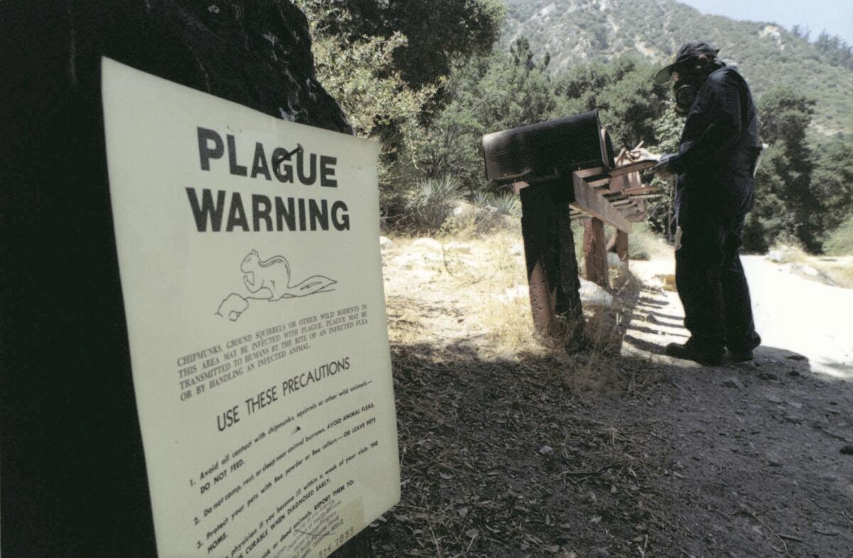 The plague is endemic to northern New Mexico, northern Arizona, southern Colorado, California, southern Oregon, and far western Nevada. The infectious bacteria that cause the plague are passed to people by fleas on rodents.