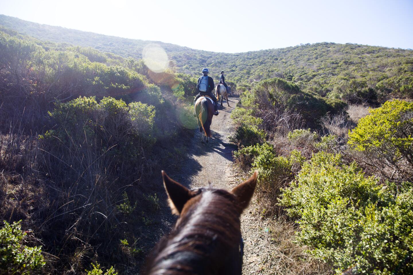 The busiest unit in our national park system is the 80,000-acre non-contiguous realm that flanks San Francisco's Golden Gate Bridge, known as the Golden Gate National Recreation Area. Here, horse riders clip-clop along the Marin Headlands' Old Springs Trail.