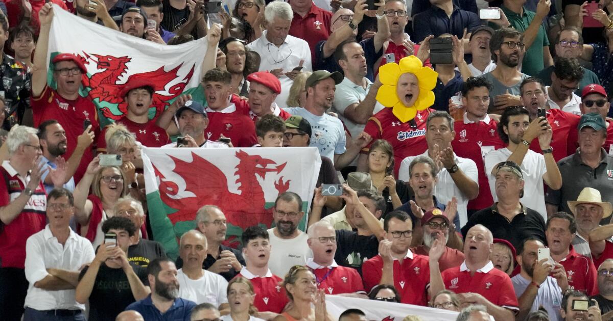 Photo of Le Portugal participe à la Coupe du monde de rugby pour la première fois depuis 16 ans