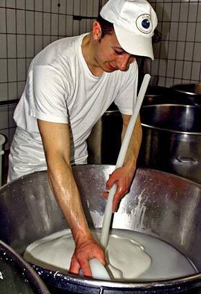 Making mozzarella at the Tenuta Vannulo dairy near Paestum