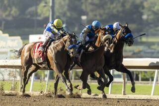 Wathnan Racing's Subsanador and jockey Mike Smith (center, white shadow-roll) win the inaugural California Crown Stakes, Grade I $1,000,000, on Saturday, Sept. 28, 2024 at Santa Anita Park, Arcadia, Calif. CA barely outfinishing National Treasure and Flavien Prat, inside, and Newgate and John Velazquez, outside. are seen. (Benoit Photo via AP)