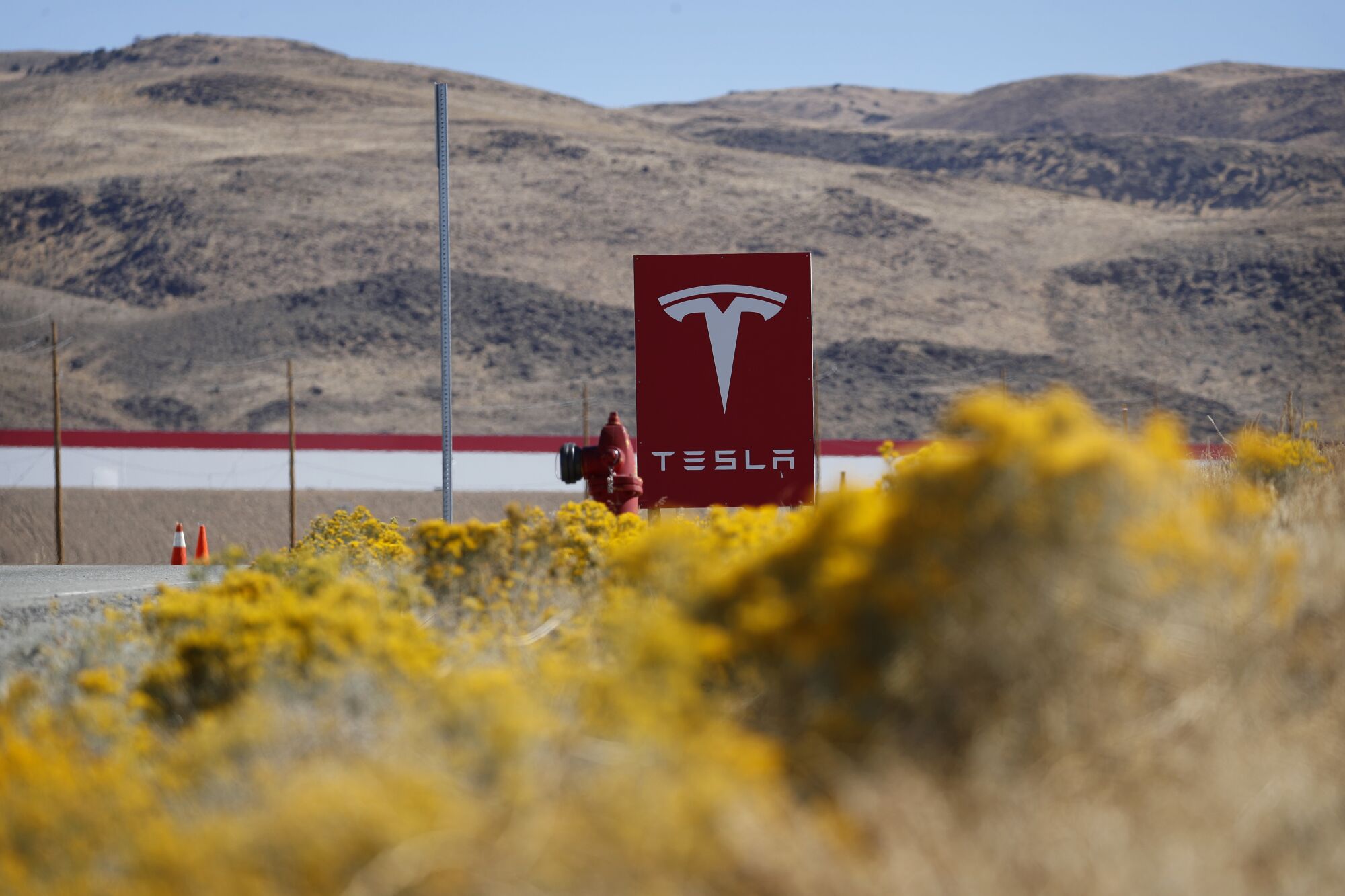 A Tesla sign amid a desert landscape