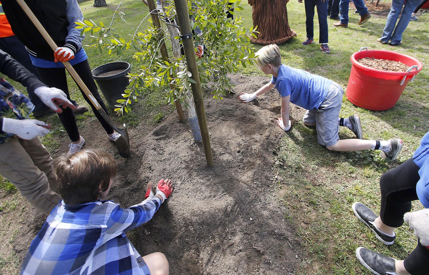 la-arbor-day-tree-planting-ceremony-at-drew-pa-005