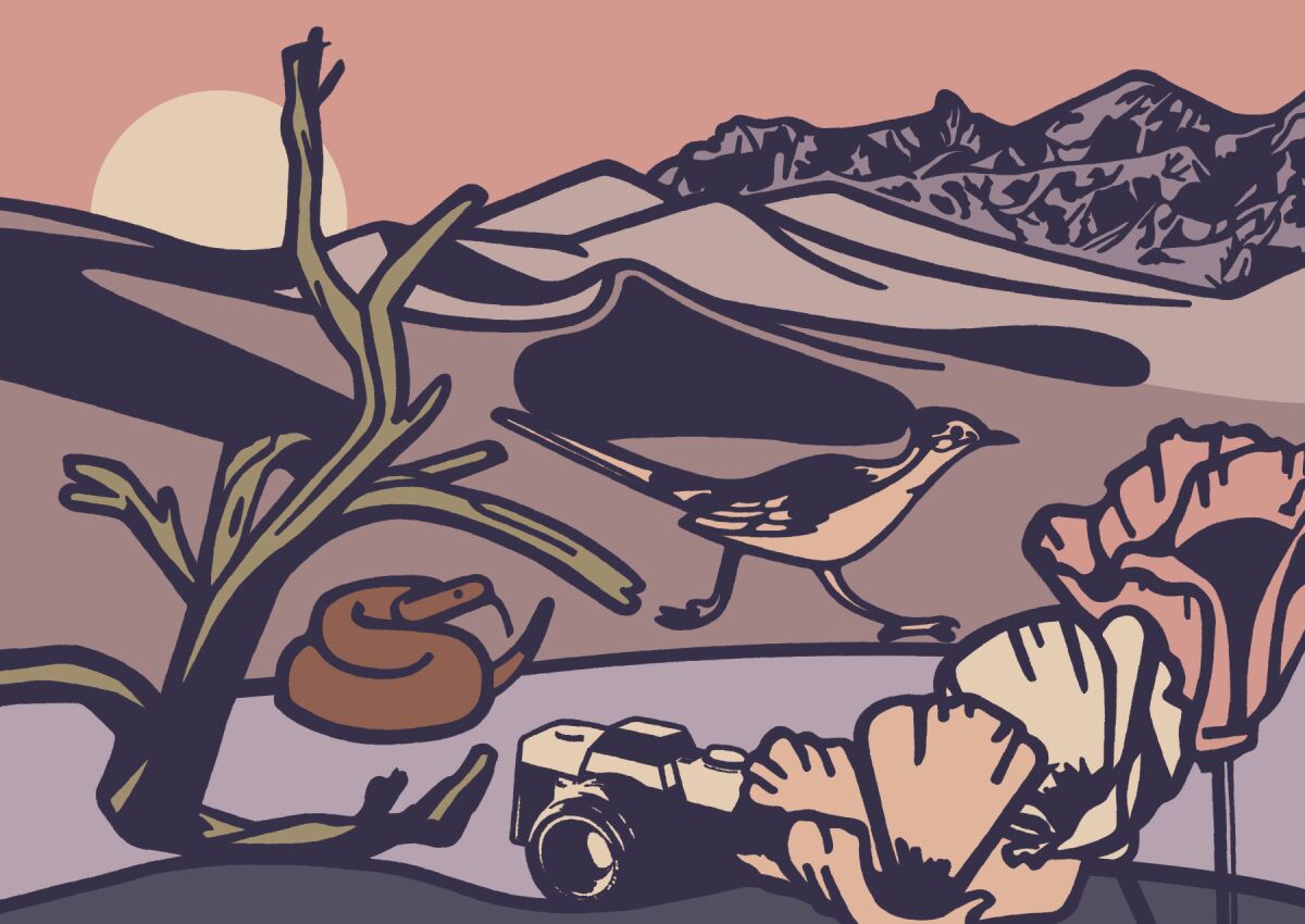 An illustration of Death Valley with a broken camera in the foreground.