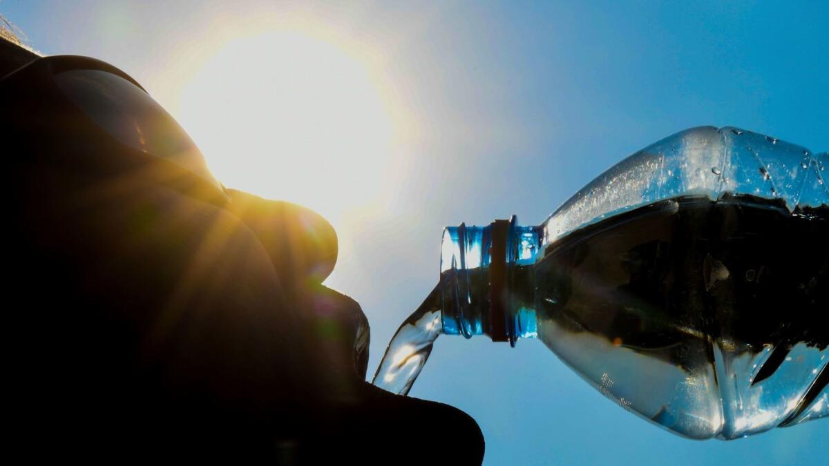 In the heat of summer, drinking water helps with appetite, hydration and hangovers.