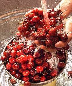Drenching cherries in water for a crisp, clean taste