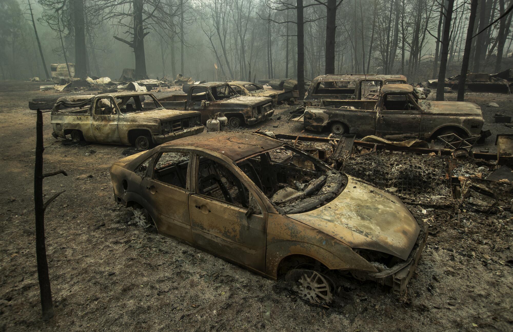 Rows of burned cars sit amid blackened trees.