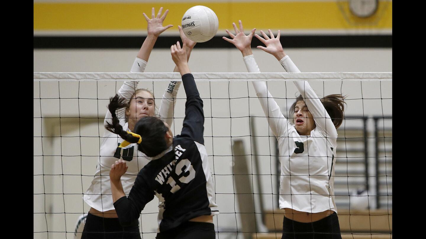 Photo Gallery: Sage Hill School vs. Whitney girls' volleyball