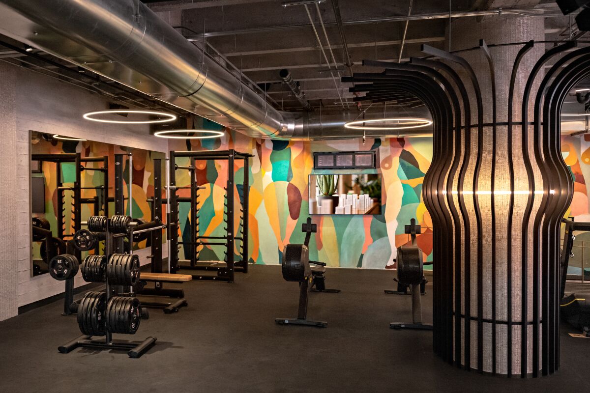 Racks of free weights in a room with a mural on one wall and a mirror on another.