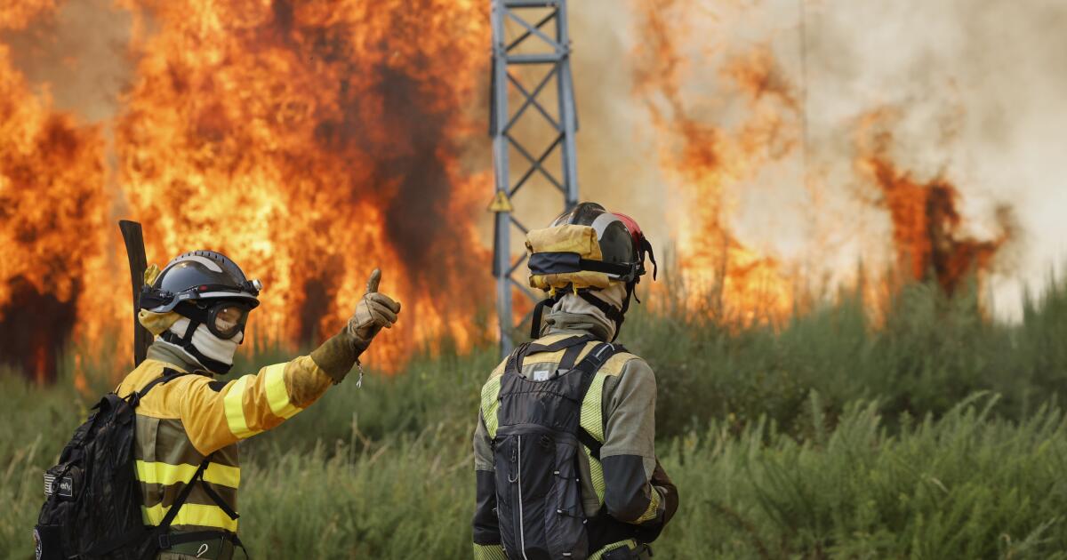 How Do Binoculars Help in Forest Fire Rescue? Insights