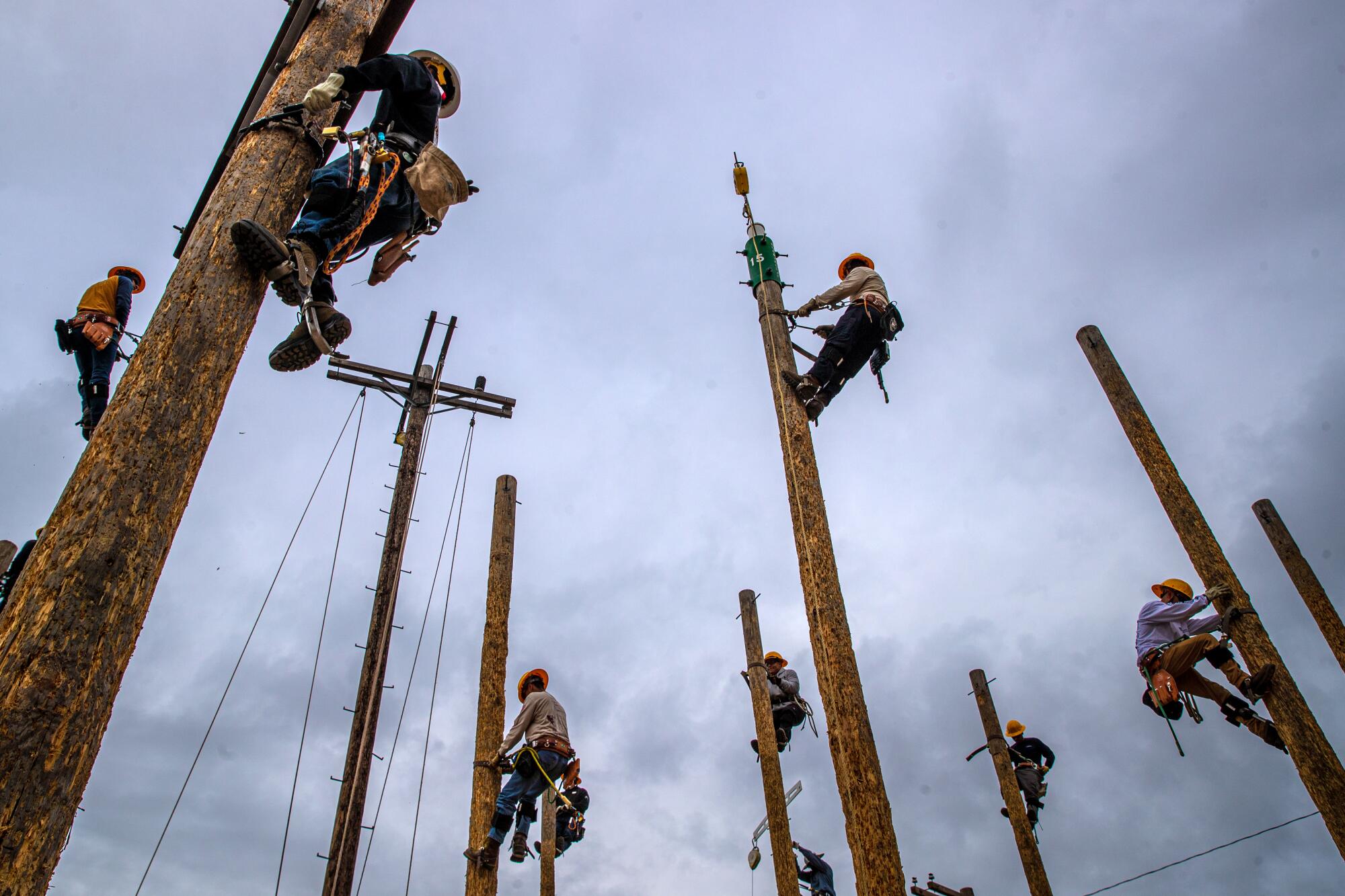 A group of people work on power poles.