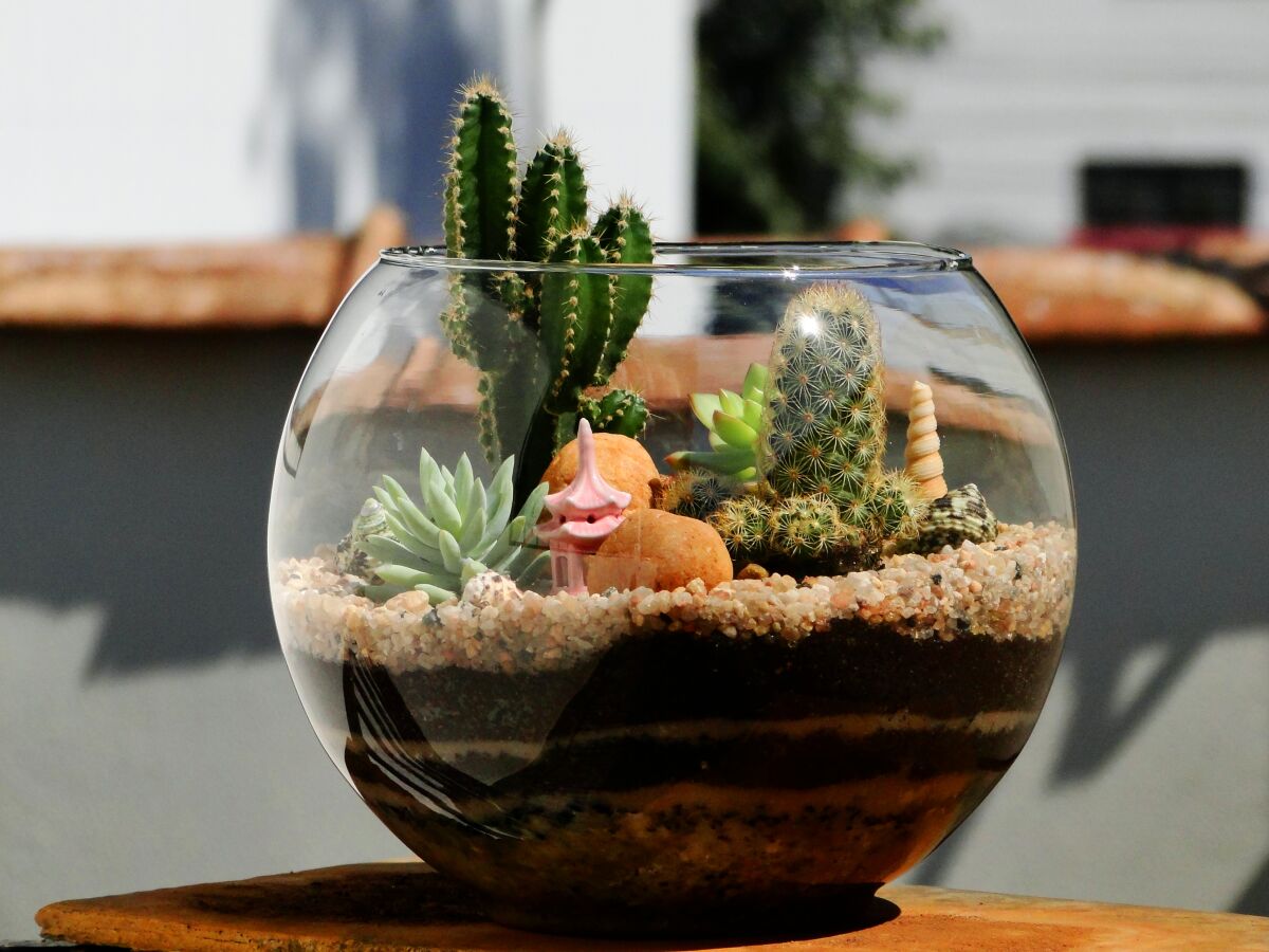 Different layers of soil and gravel are seen in a glass terrarium.