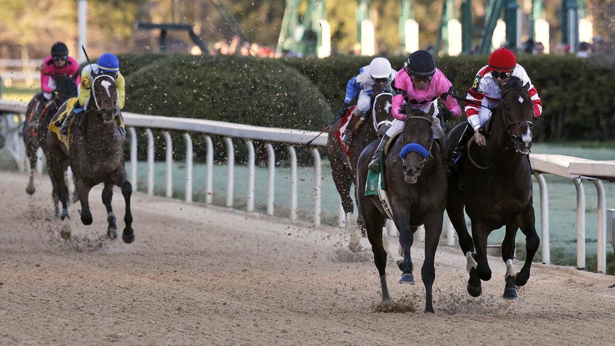 Omaha Beach, right, ridden by jockey Mike Smith, edges out Game Winner ridden by jockey Joel Rosario, to win the second division of the Rebel Stakeshorse race on March 16 at Oaklawn Park in Hot Springs, Ark.