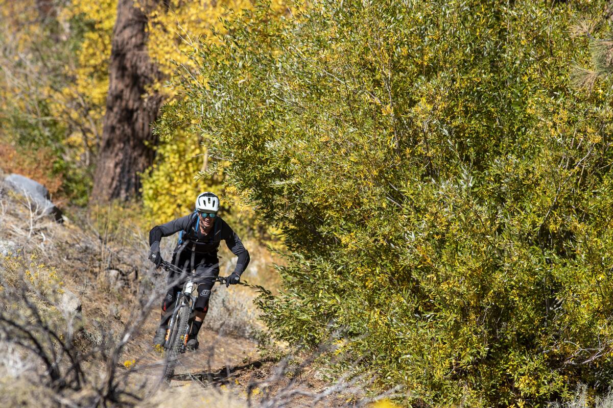 A mountain biker descends a trail in Lower Rock Creek Canyon near Mammoth Lakes.