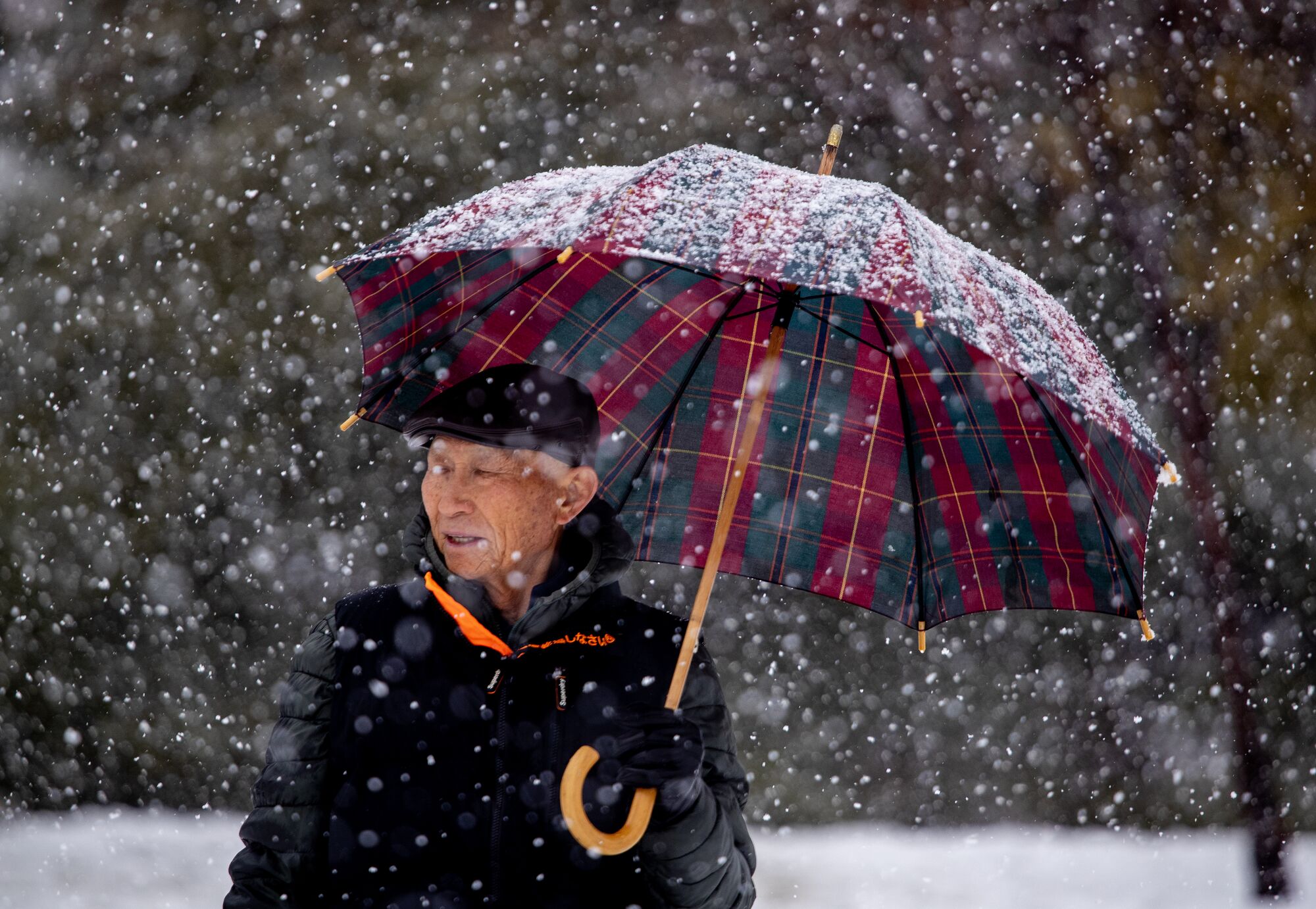 A rare snowfall in Southern California in Yucaipa on Thursday.