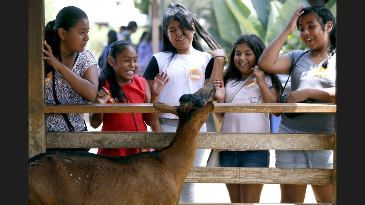 THINK Together's Shalimar Learning Center students