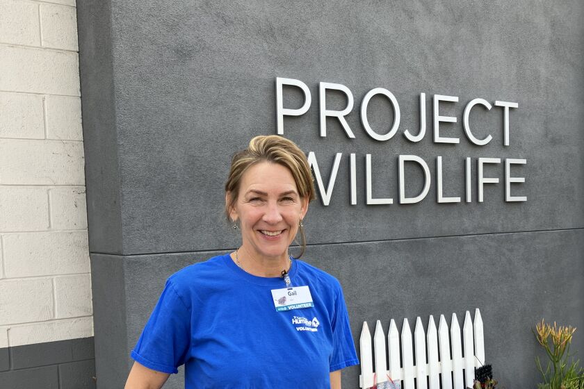 Del Mar resident Gail Eyler at Project Wildlife