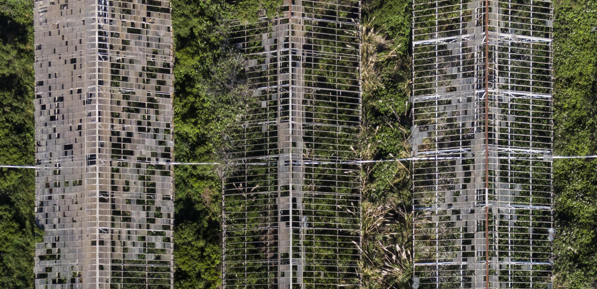 An aerial view of greenhouses with missing roof panels