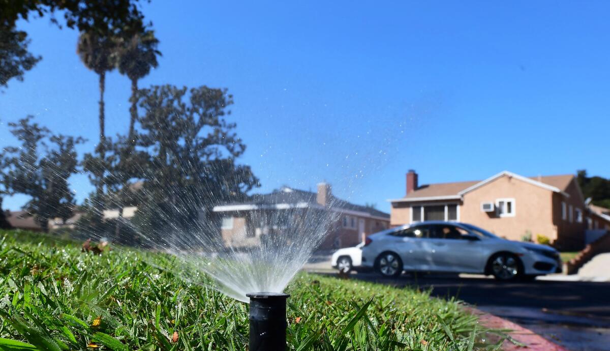 A sprinkler waters grass on a residential street.