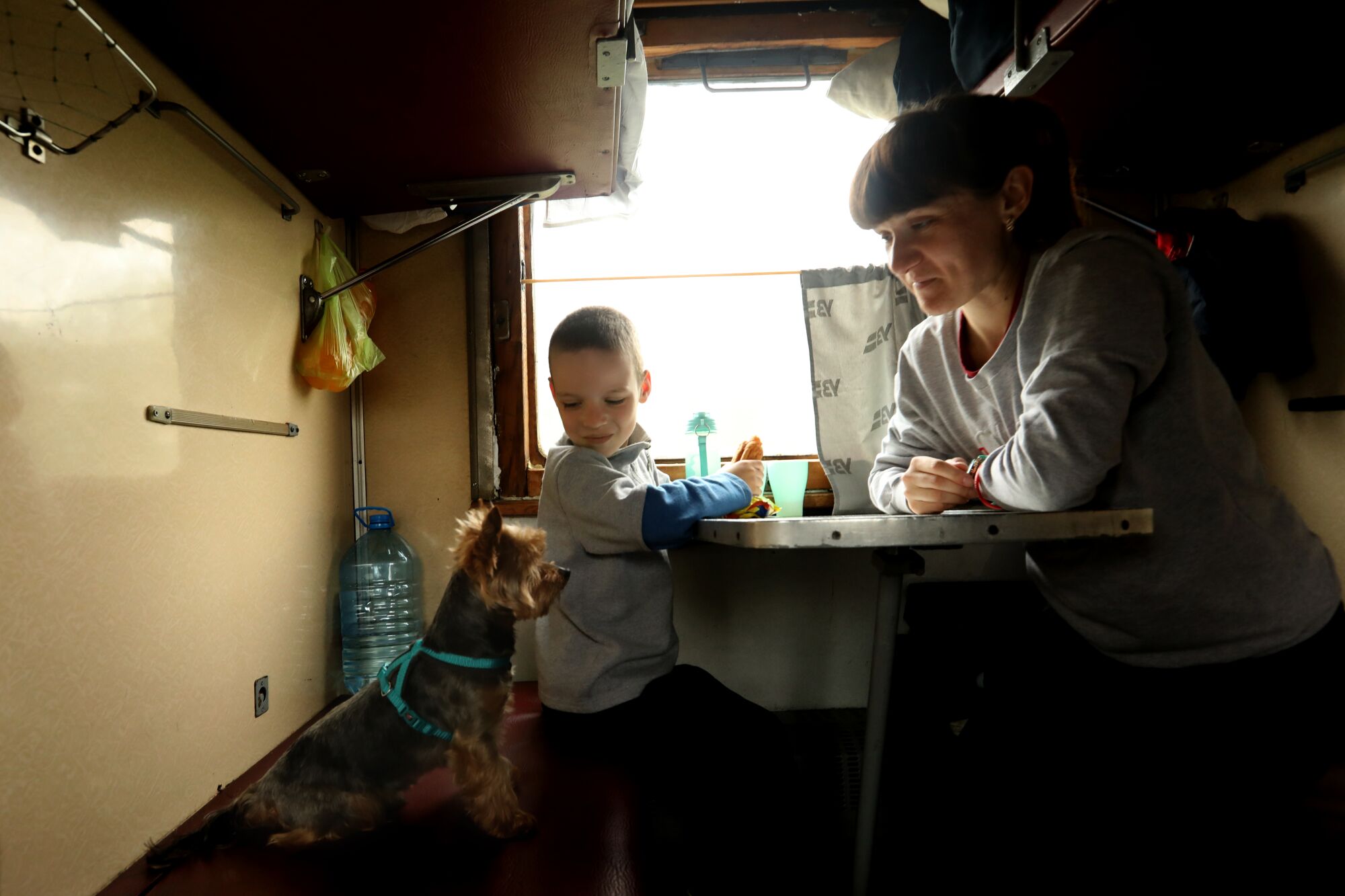 A woman and a boy, center, seated near a train window look down at a dog on the left