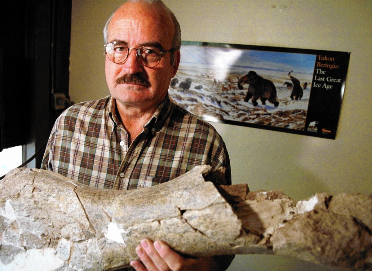 Larry Agenbroad holds a fossilized mammoth femur at his office at Northern Arizona University in Flagstaff, Ariz., in 1999. Agenbroad, the former director and principal investigator at the Mammoth Site in South Dakota, died Oct. 31.