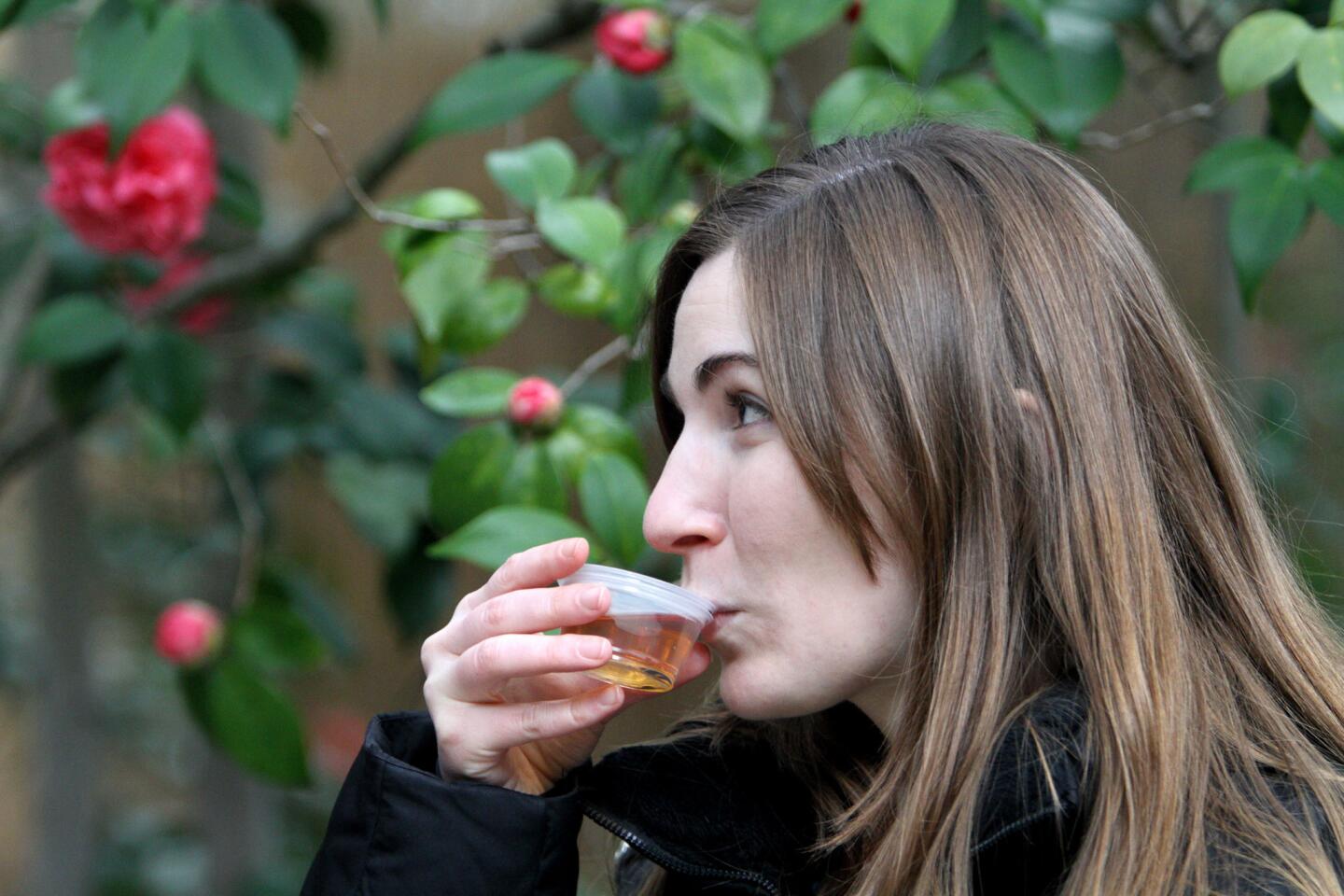 Robin Dubin, 25 of Pasadena, enjoys a sample of ginger orange tea while standing next to a Marchioness of Exeter camellia tree at the Descanso Gardens Camellia and Tea Festival in La Cañada Flintridge on Saturday, Jan. 30, 2016. The two-day festival included tea tasting, camellia crafts, camellia walks and performances.