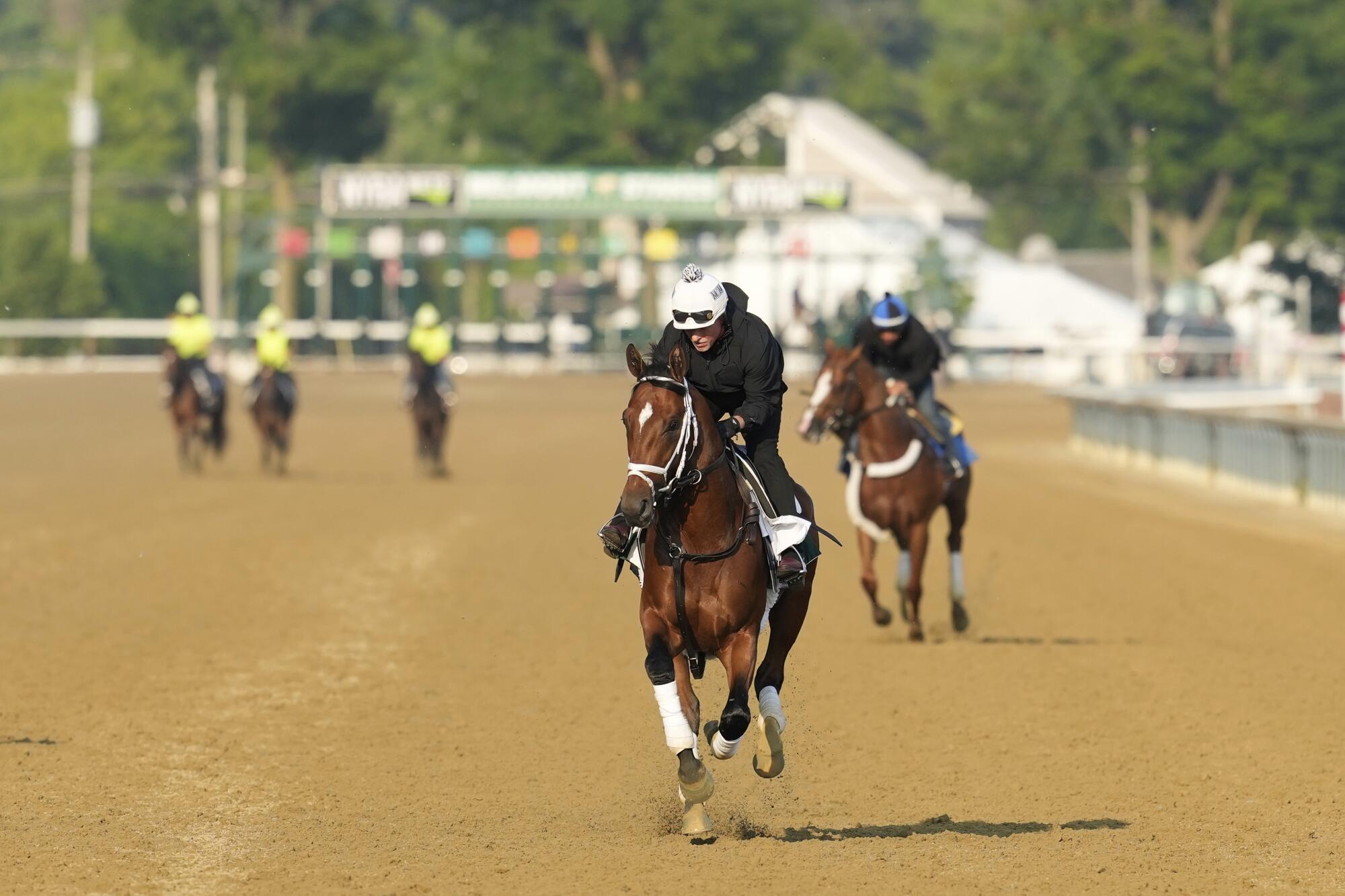 Journalism trains at Saratoga Springs on Thursday in preparations for the Belmont Stakes on Saturday.