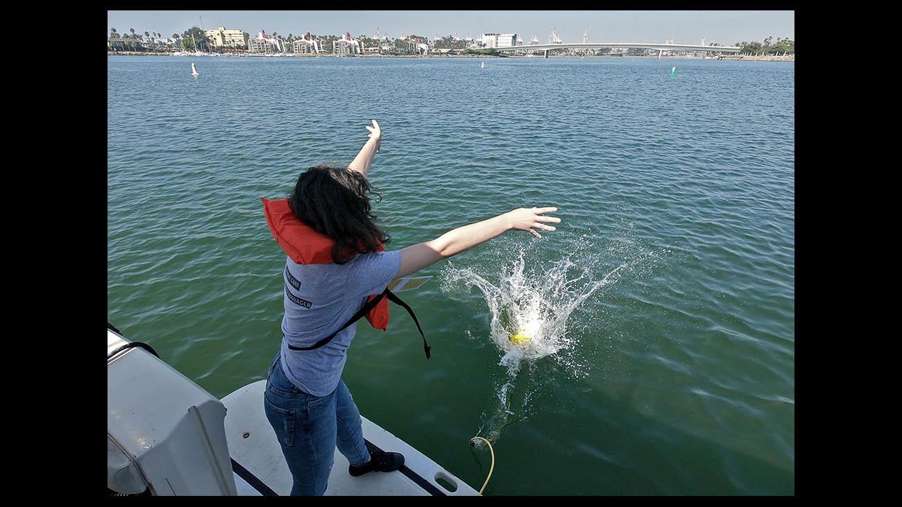 Clark Magnet High School Environmental Geographic Information Science student and assistant project manager Maddie Carr throws the remotely operated underwater vehicle (ROV) into the water while other students view sonar images during an outing for metals analysis to the mouth of the Los Angeles River in Long Beach on Thursday, Sept. 13, 2018. Due to unforeseen circumstances, the students were not able to collect soil samples from the bottom of the channel.