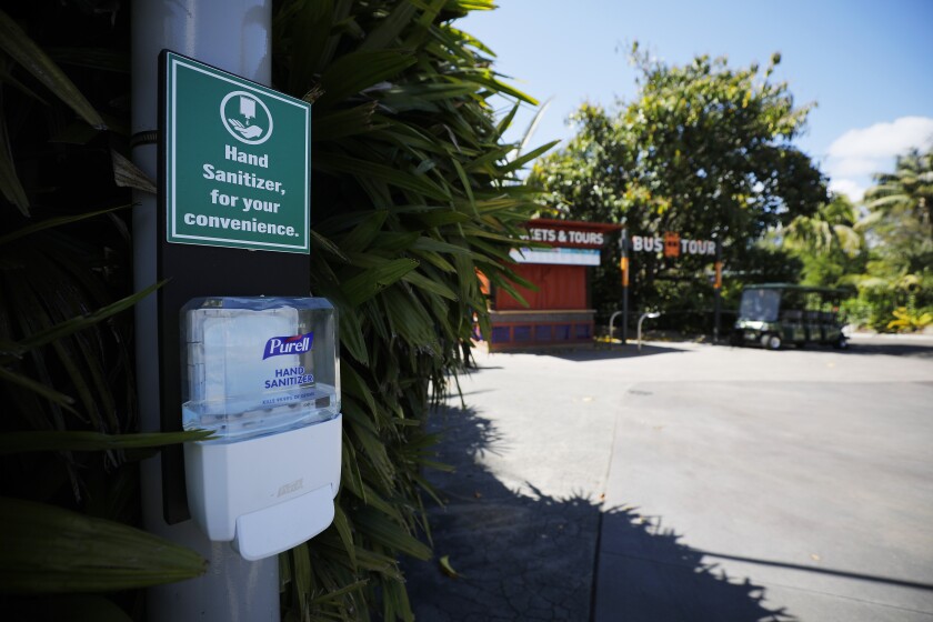 More hand sanitizer stations have been installed at the San Diego Zoo in preparation for its June 20 reopening. 
