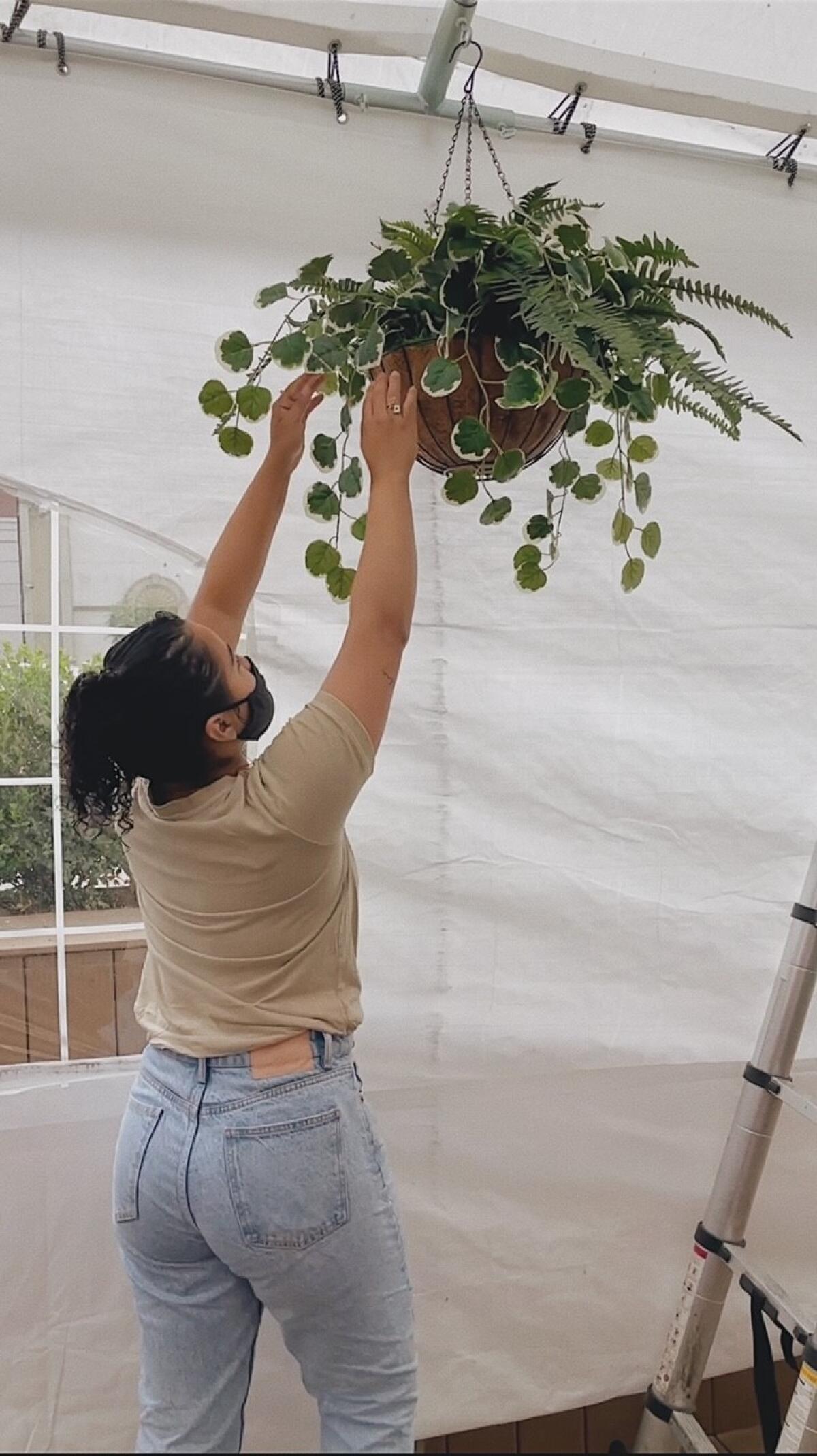 Lola Morales hangs a plant in a plant hanger from the ceiling.