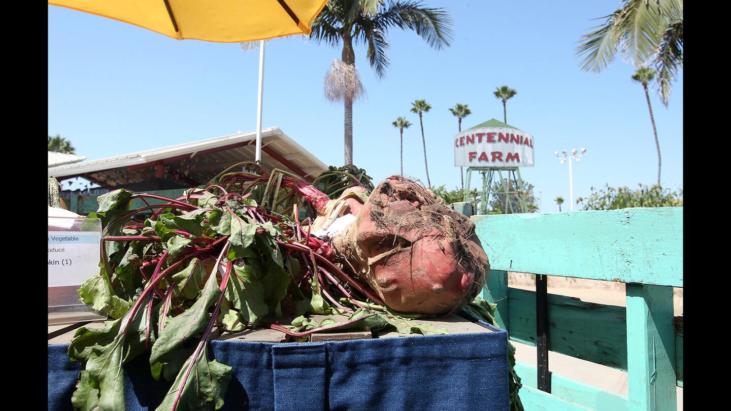 Judgment Day for produce at OC Fair