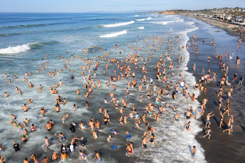 San Diego CA - January 1: Hundreds of people participate in the Del Mar's Penguin Plunge on Monday, January 1, 2024 in Del Mar, CA. People braved the not so cold water for a New Year's Day dunk in the ocean, where temperatures were above 60 degrees. (K.C. Alfred / The San Diego Union-Tribune)