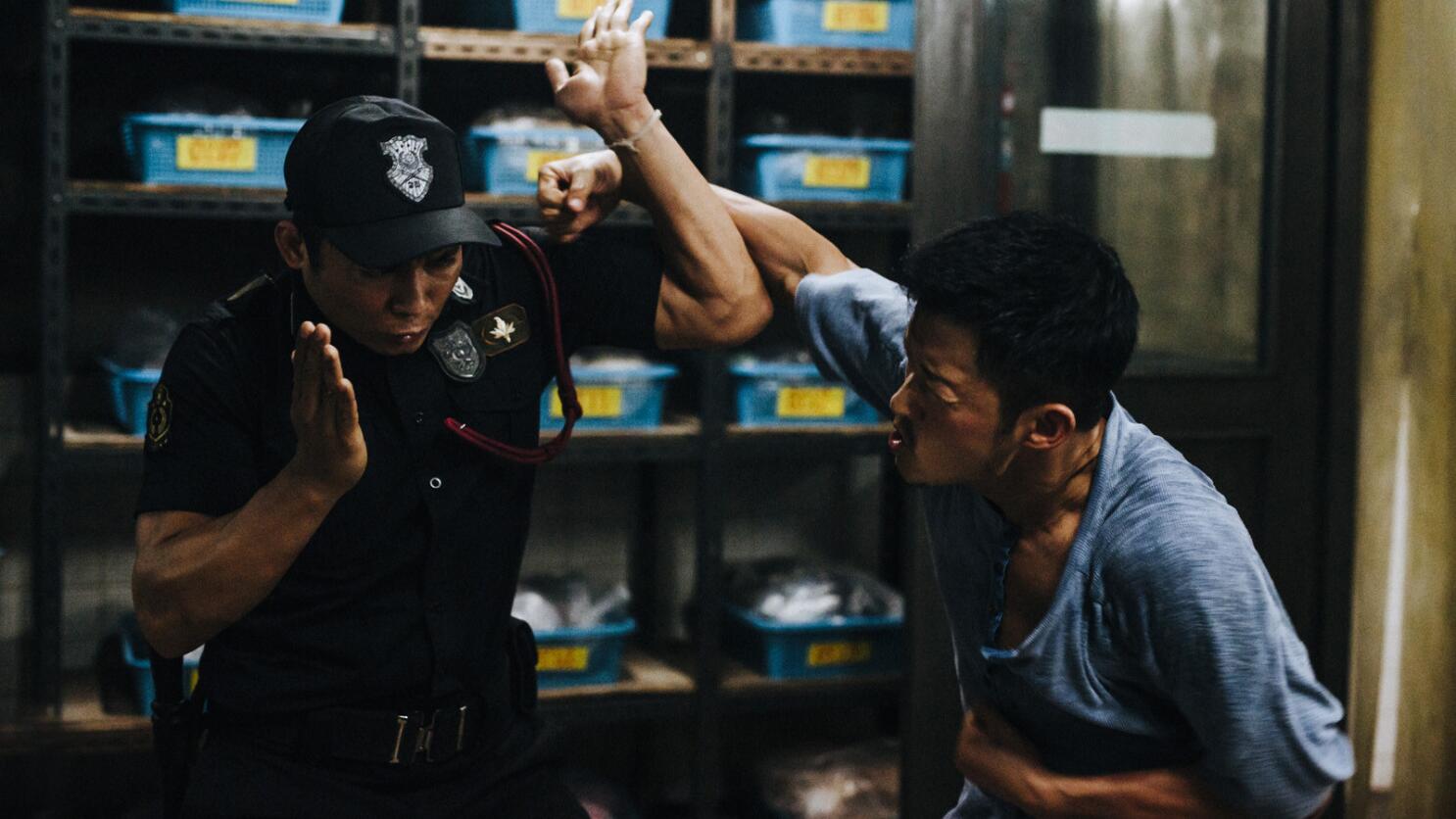 Review: KILL ZONE 2, A Delirious, Masterfully Staged Martial Arts
