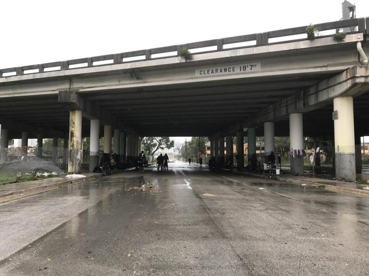 Miami residents gather under an overpass to shield from the continuing wind.