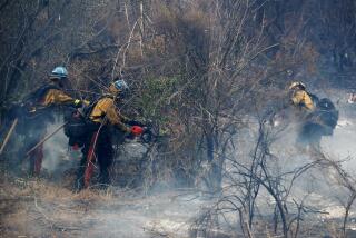 HEMET, CAL;IF. - SEP. 9, 2022. Firefighters cut a fire linein thick brush in the burn zone of the. Fairview fire near Hemet on Friday, Sep. 9, 2022. Light rain and higher humidity gave firefighters a chance to get more containment around the fire, which has burned about 28,000 aces in and around the San Bernardino National Forest. (Luis Sinco / Los Angeles Times)