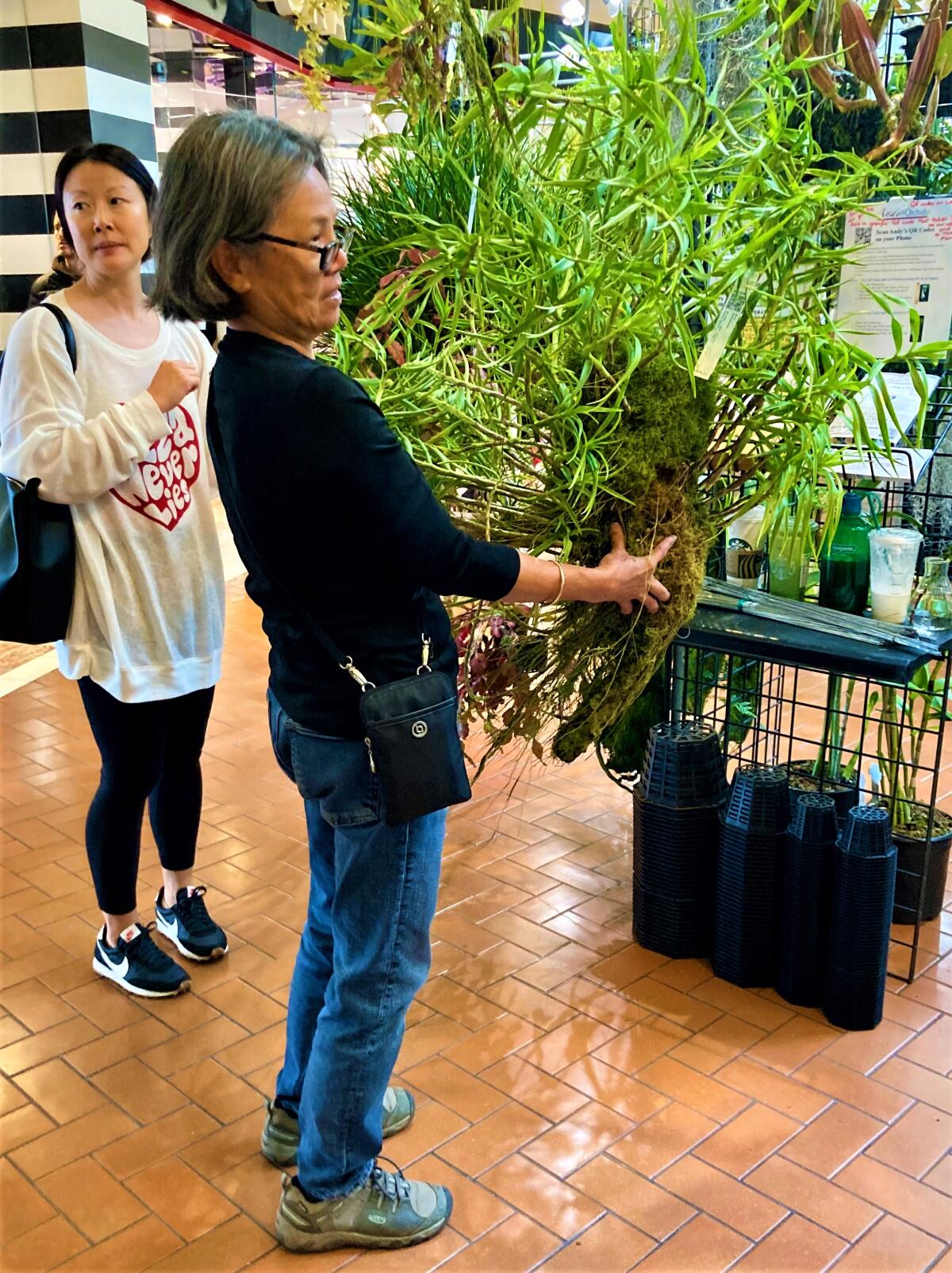 Fawn Downs, of Diamond Bar, holds onto a massive eria orchid she purchased at Andy's Orchids.