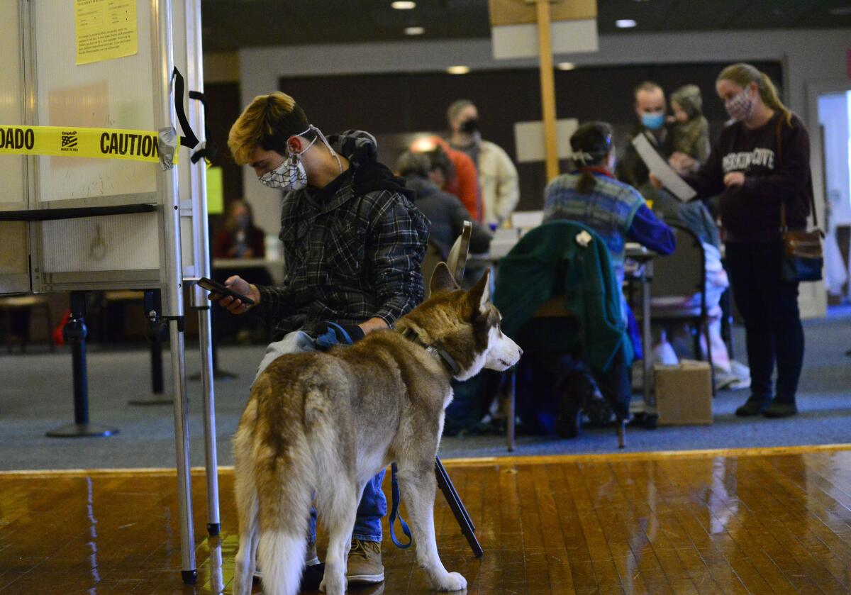 A man and a dog at a polling booth.