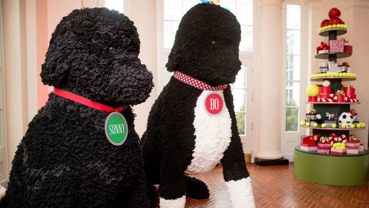 Oversize replicas of the Obamas' dogs -- Bo and Sunny -- made with more than 25,000 yarn pom-poms, are displayed in the East Wing Hallway of the White House.