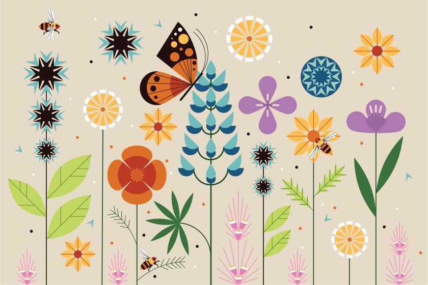 California native flowers with bees and a butterfly.