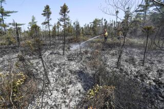 Bomberos canadienses trabajan para poner bajo control un incendio forestal en el condado de Shelburne, en Nueva Escocia, el jueves 1 de junio de 2023. (Communications Nova Scotia /The Canadian Press via AP)