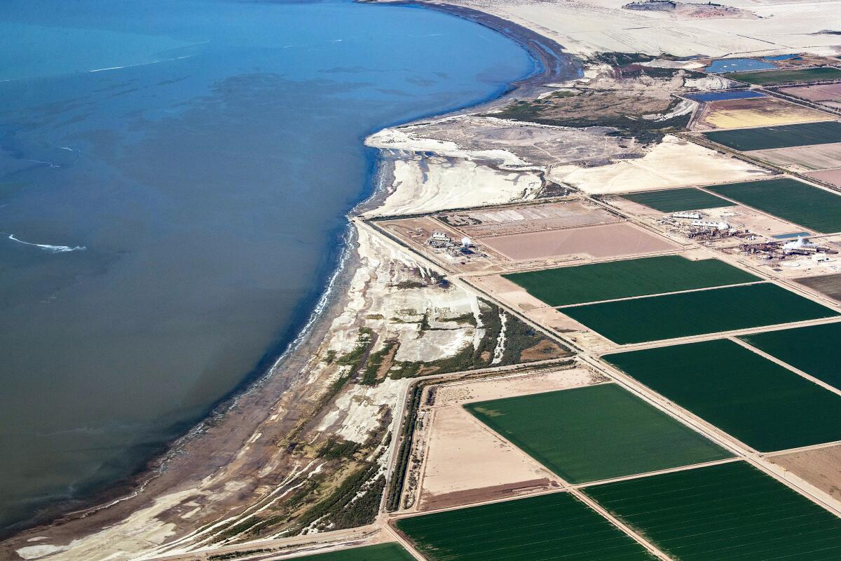 An aerial frame of a body of water, at left, and its receding coastline in the middle and rectangular farmed fields at right.