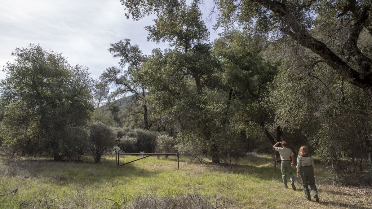 Biologists walk through former grazing land in the Los Padres National Forest, Calif. on April 3, 2018.