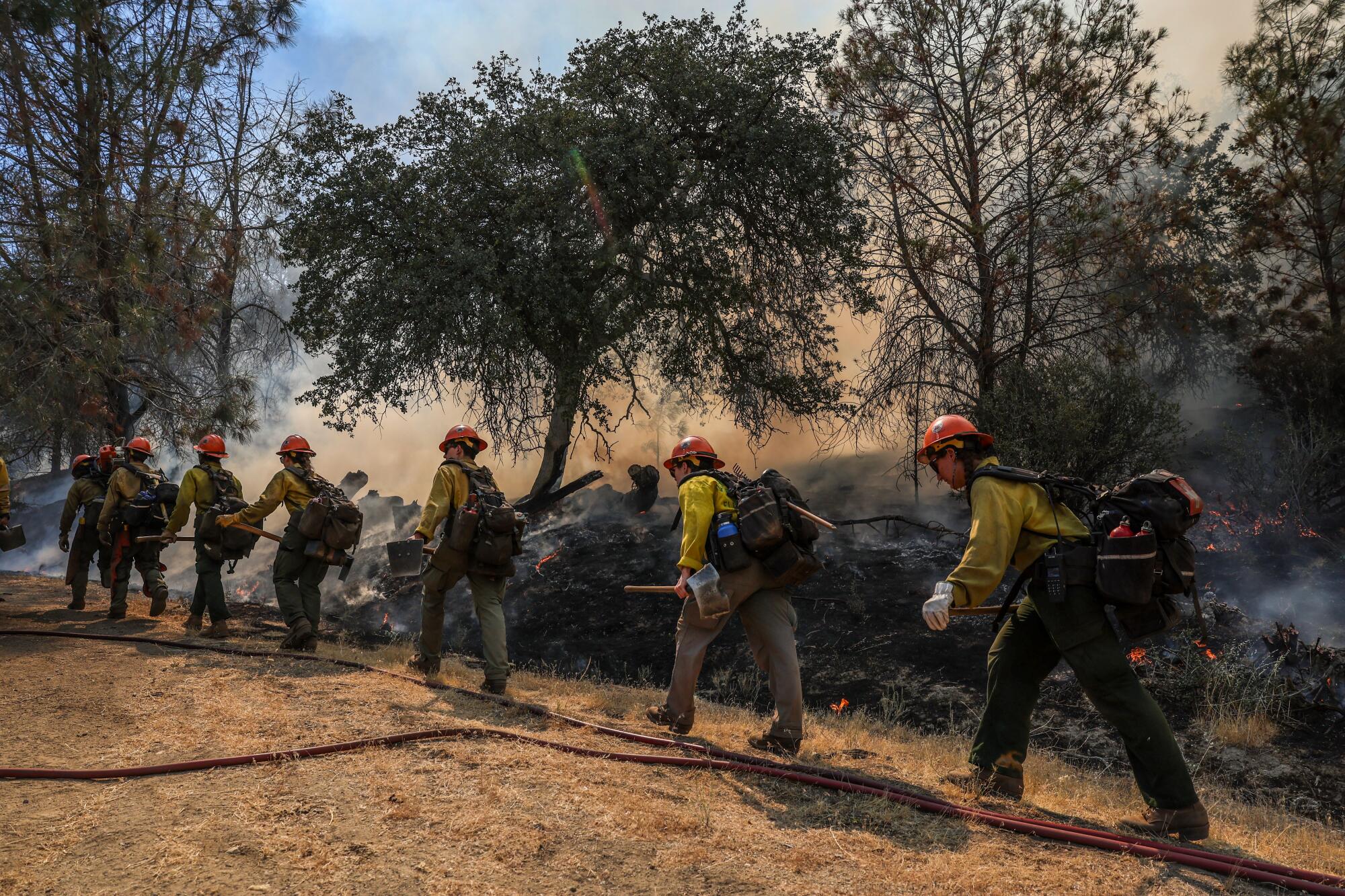 The Iron Mountain Hand Crew moves to the front as dozens of firefighters manage the southeastern flank of the Borel fire.
