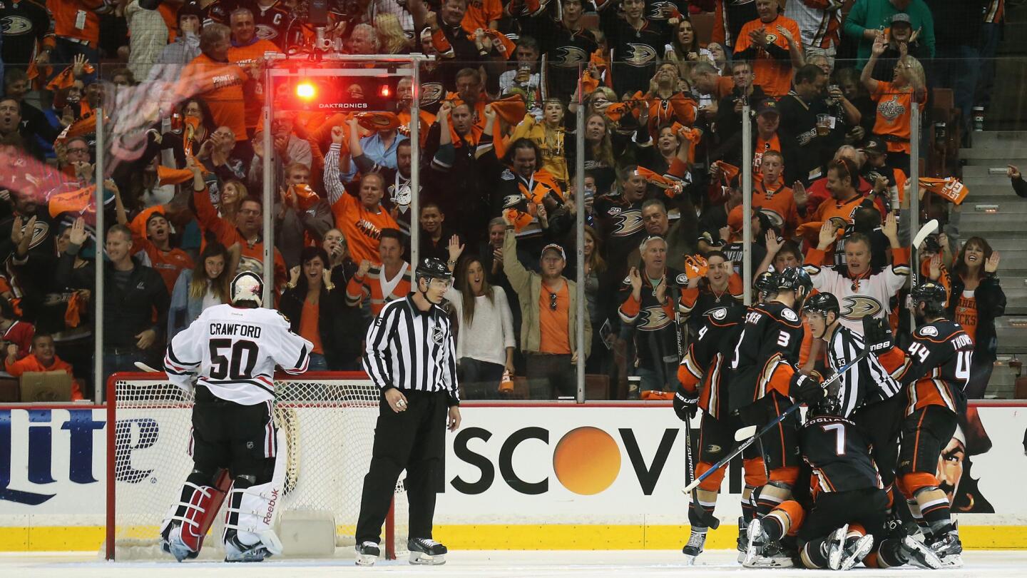 Ducks celebrate goal