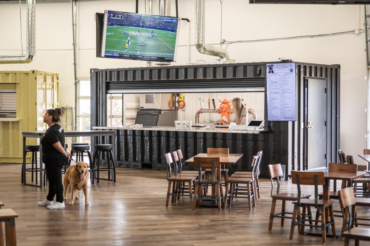 Una vez abierto, The Dog Society ofrecerá un entorno apto para perros con cafetería y cervecería 