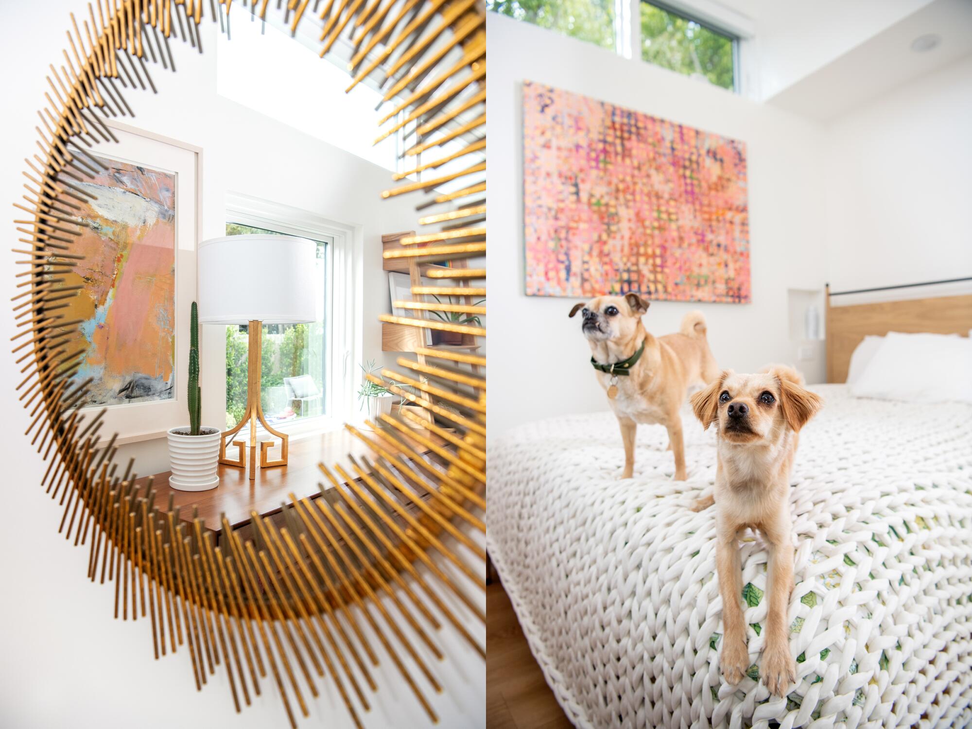 Two photos side by side, one of a mirror reflecting details in a bedroom, the other of a pair of dogs sitting on a bed.