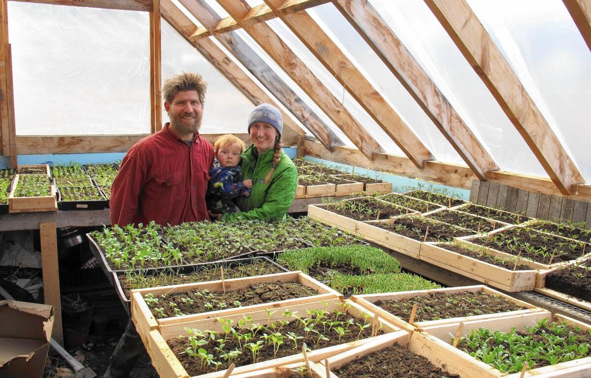 Edge Fuentes and Katie Spring, with their baby, stand among seedlings at their Good Heart Farmstead in Worcester, Vt. The couple backed the new state law requiring genetically modified foods to be labeled.