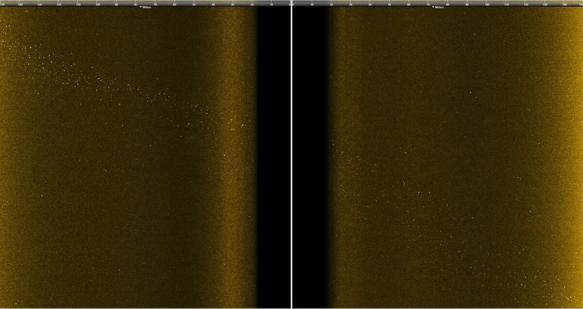 View of side-scan sonar data from Scripps-NOAA expedition in March 2021