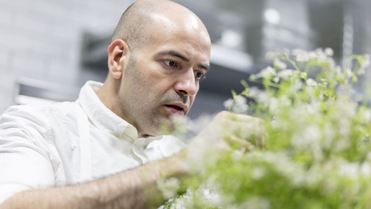 Yours Truly chef and co-owner Vartan Abgaryan picks fresh cilantro flowers for a dish.